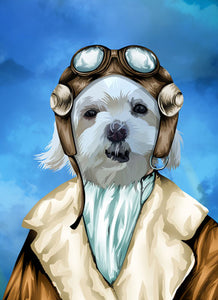 Aviator