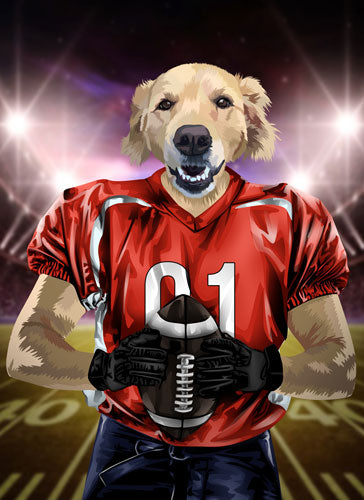 Red Football Player Dog Costume